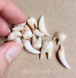 Tooth Beads, Halloween Doll Props, Miniature Teeth for BJD, Vampire Fangs