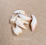 Tooth Beads, Halloween Doll Props, Miniature Teeth for BJD, Vampire Fangs