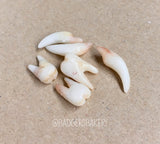 Tooth Beads, Halloween Doll Props, Miniature Teeth for BJD, Vampire Fangs